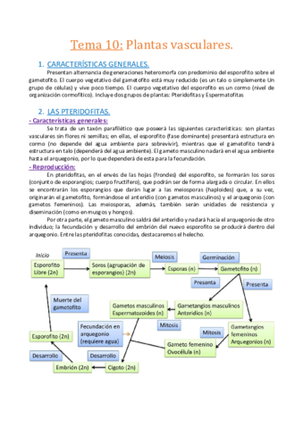 Tema 10. Plantas vasculares..pdf
