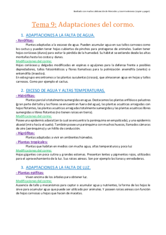 Tema 9. Adaptaciones del cormo..pdf