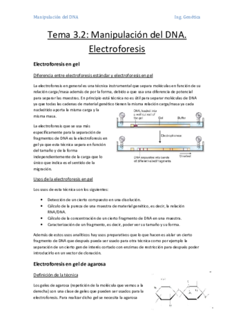 Tema 3.2- Manipulación del DNA. Electroforesis.pdf