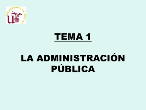 TEMA 1 LA AP.pdf