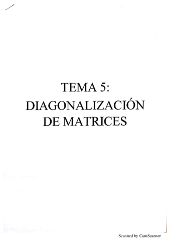 TEMA 5- DIAGONALIZACION.pdf