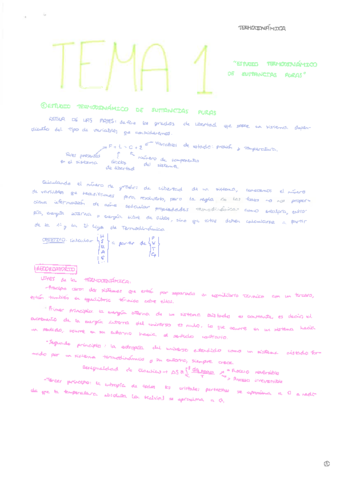 Tema 1-teoría.pdf