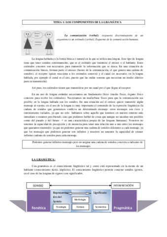 TEMA 1 los componentes de la gramática.pdf