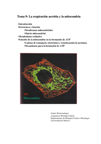 Tema 7- La respiración aerobia y la mitocondria.pdf