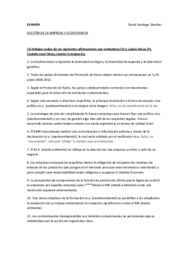 Examen - Gestión Empresa y Ecoeficiencia.pdf