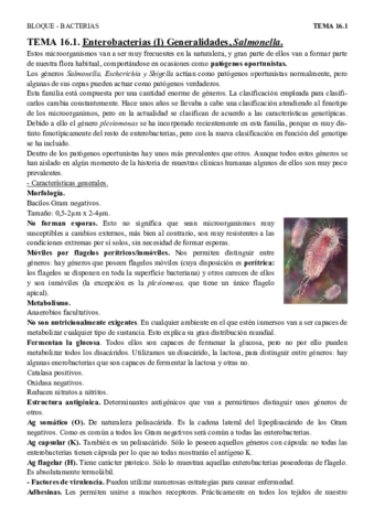 T16.1 - Enterobacterias salmonella.pdf
