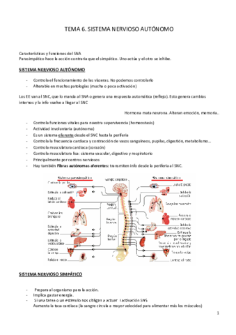 Tema 6. sistema nervioso autónomo.pdf