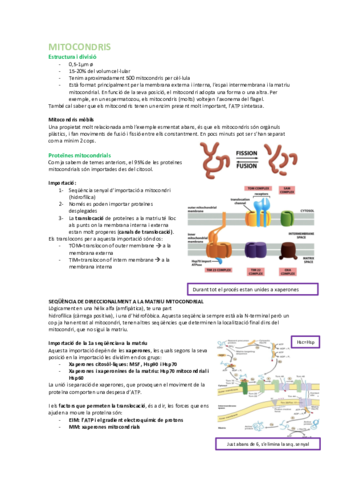 Resum 2n parcial.pdf