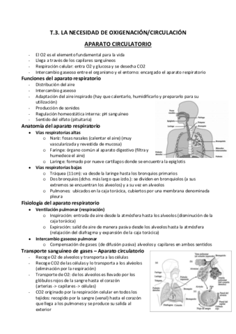 Tema 3.pdf