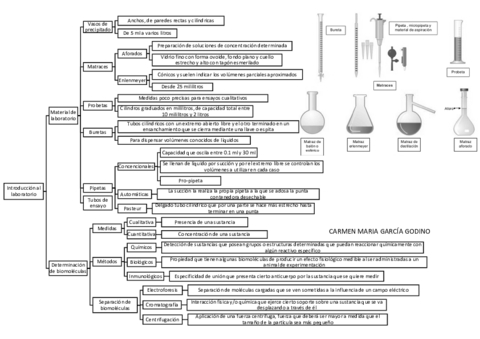 RESUMEN PRACTICAS BIOQUIMICA.pdf