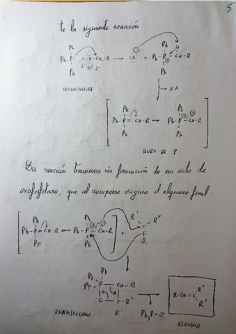 Examen.pdf