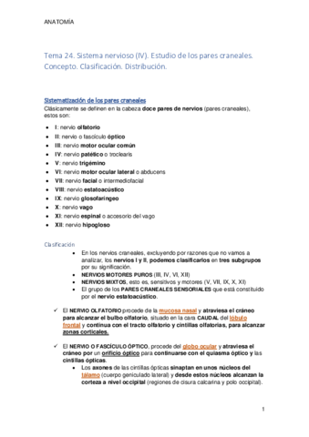 Tema 24. Estudio de los pares craneales.pdf