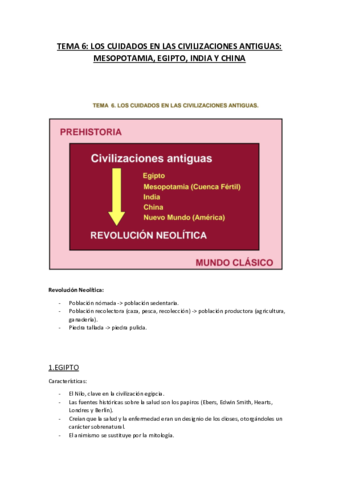 TEMA 6.pdf