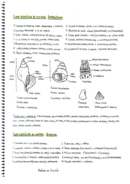 Apuntes del Examen práctico de zoo.pdf