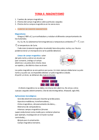 Tema 6 Magnetismo.pdf