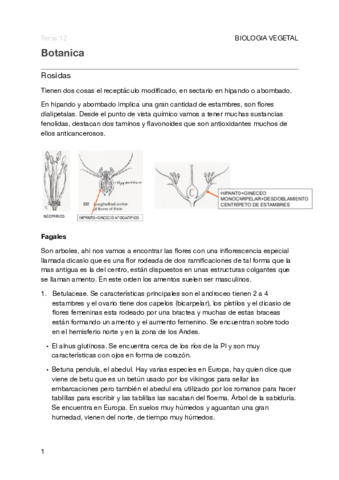 Tema 12 botanica .pdf