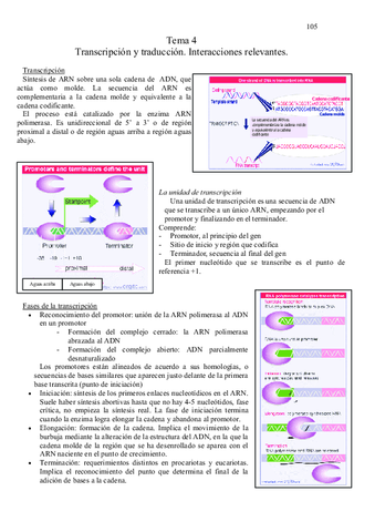 Apuntes-de-genética.pdf