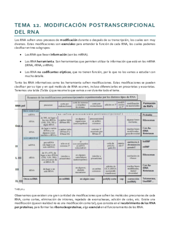 Tema 12.pdf