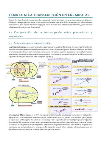 Tema 10A.pdf