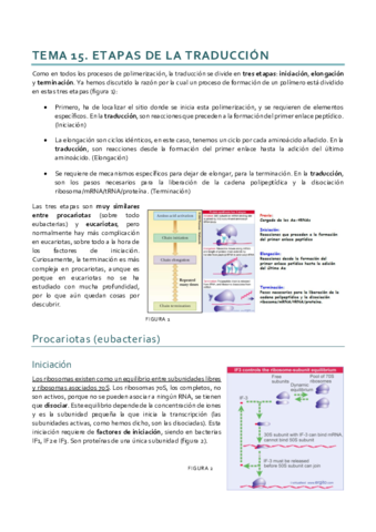 Tema 15.pdf