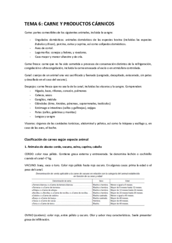 TEMA 6.pdf