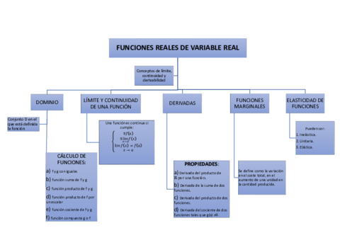 Mapa conceptual tema 1 FUNCIONES REALES DE VARIABLE REAL.pdf