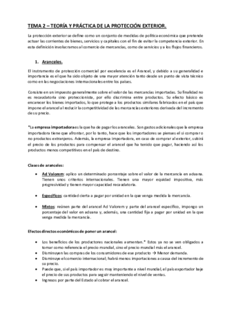 TEMA 2 - TEORÍA Y PRÁCTICA DE LA PROTECCIÓN EXTERIOR.pdf