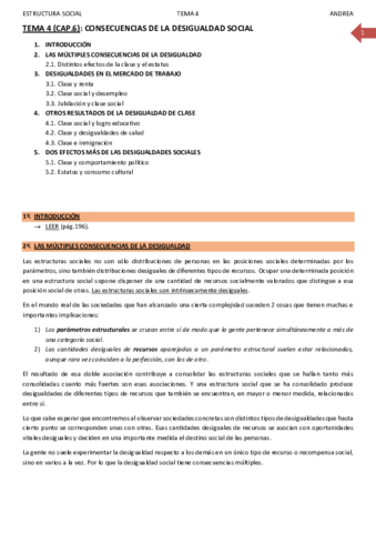 TEMA 4_ESTRUCTURA SOCIAL_ANDREA.pdf