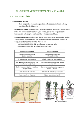 (*) TEMA 9 BIO UNI.pdf