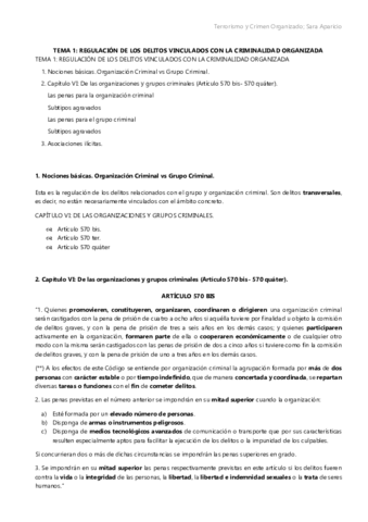 Tema 1 - Criminalidad organizada.pdf