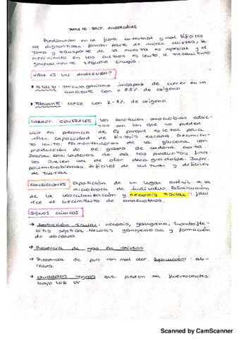 Bacterias anaerobias.pdf