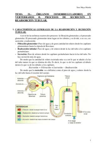 TEMA 21.- ÓRGANOS OSMORREGULADORES EN VERTEBRADOS II. PROCESOS DE SECRECIÓN Y REABSORCIÓN TUBULAR..pdf