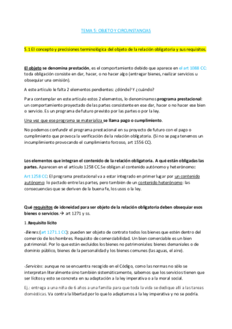 Tema 5 DCivil COMPLETO PDF- Objeto y circunstancias.pdf