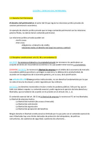 Tema 1 DCivil COMPLETO PDF- Derecho Civil Patrimonial.pdf
