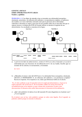 SERIE 4 18-19 RESUELTA.pdf