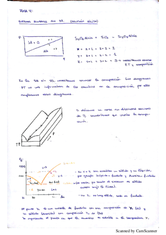 Tema 4.pdf