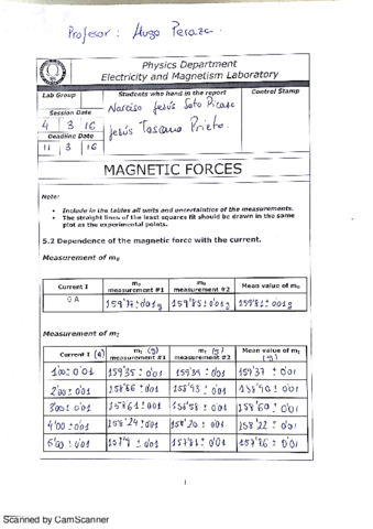 Physics II - Lab 02 - Magnetic forces.pdf