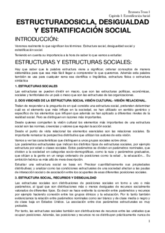 RESUMEN TEMA 1.pdf