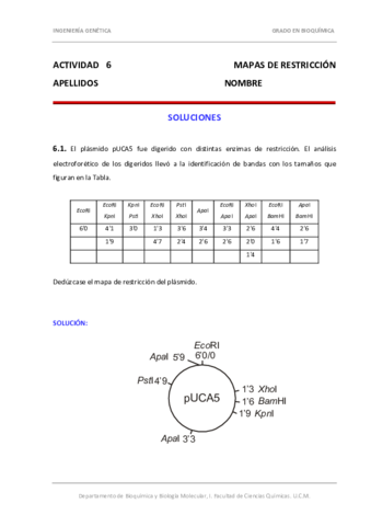 Actividad 6 solución.pdf