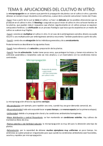 Tema 9. Aplicaciones del cultivo in vitro..pdf