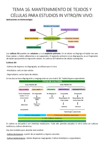 Tema 16. Mantenimiento de tejidos y células para estudios in vitro o in vivo..pdf