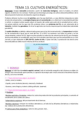 Tema 13. Cultivos energéticos..pdf