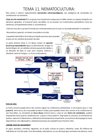 Tema 11. Nematocultura..pdf