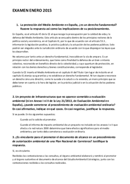 EXAMEN ENERO 2015.pdf