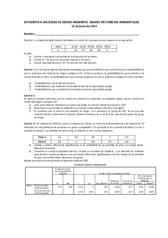Examen Estadística 2013.pdf