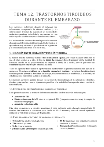 TEMA 12.pdf
