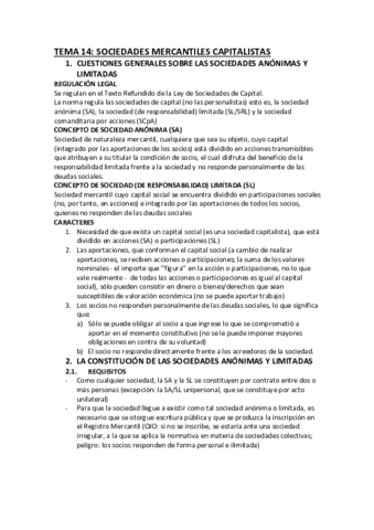 APUNTES T14 DM.pdf