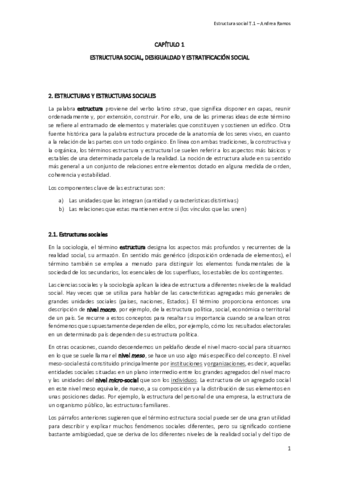 Tema 1 - Estructura social.pdf