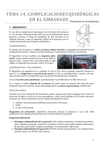 TEMA 14.pdf