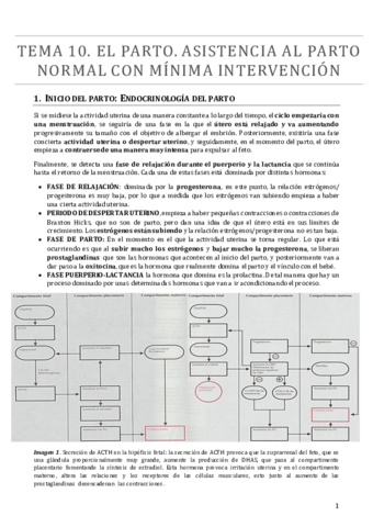 TEMA 10.pdf